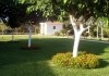 ANDROULAKIS  APTS